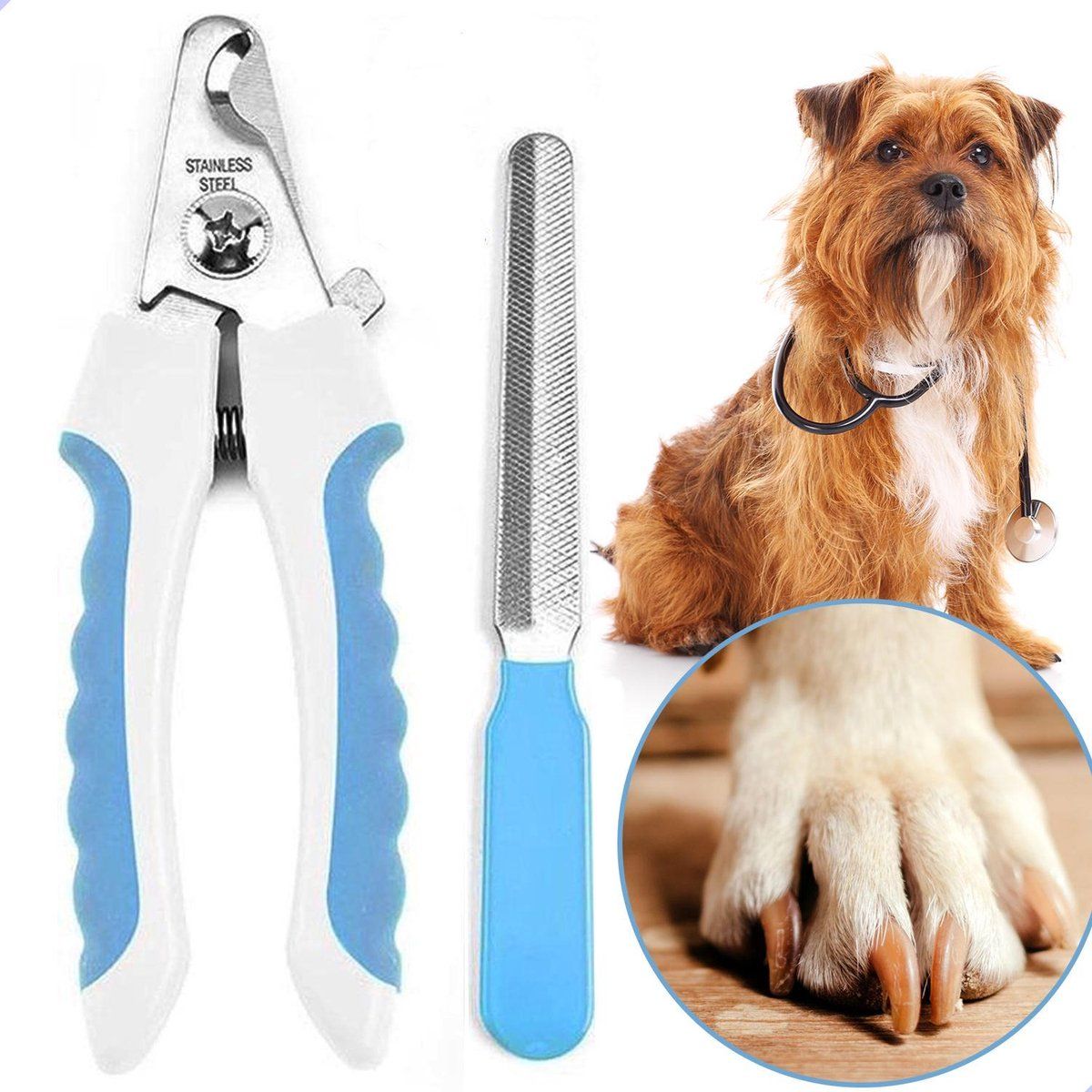 Professor Q - Professionele Nagelknipper Hond of Kat Met Veiligheidsstop - Blauw