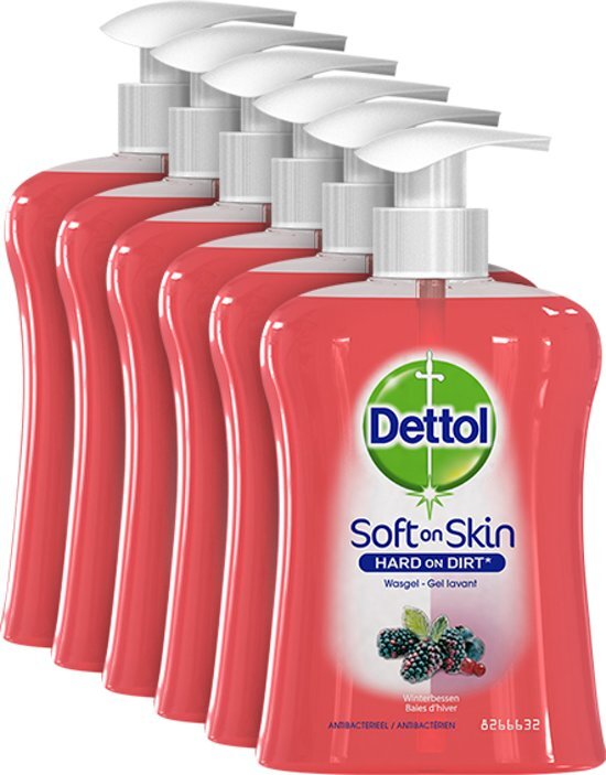 Dettol DETTOL Vloeibare handzeep Hydratant Winterbessen 6x250ml