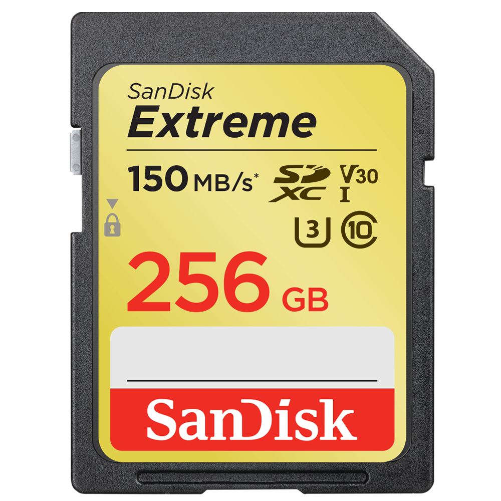 Sandisk Exrteme 256 GB