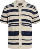 JACK&JONES JPRBLUHAMILTON BUTTON THROUGH POLO SS Heren Polo S Biologisch katoen Pageant Blue
