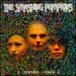 Interview Disc [CD/Buch]