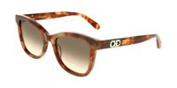 Ferragamo SF2108S Milky brown tortoise 54/19/145 WOMAN Zonnebrillen
