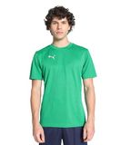 Puma Teamfinal Training Jersey Heren M Sport Green-Puma Silver