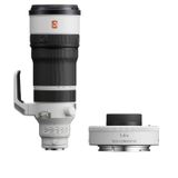 Sony FE 100-400mm F/4.5 GM + 1.4x Teleconverter