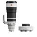 Sony FE 100-400mm F/4.5 GM + 1.4x Teleconverter