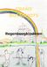 Regenboogkinderen Paperback