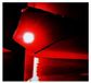 Bertus Distributie Nine Types of Light