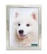 DECANIT 8x10 Fotolijsten Zilveren Metaal Fotolijsten voor Tafelbladvertoning en Muurdecoratie-Beste Geschenken voor Familie