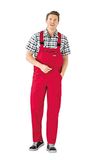Planam Cargo-tuinbroek "BW 290" maat 54, grijs, middenrood