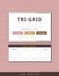 Tri-Grid Notebook: 3 Grid Sizes in One Book, Notes + Graph Dual-Page, 1cm 5mm 2.5mm, 128 Pages 8.5x11