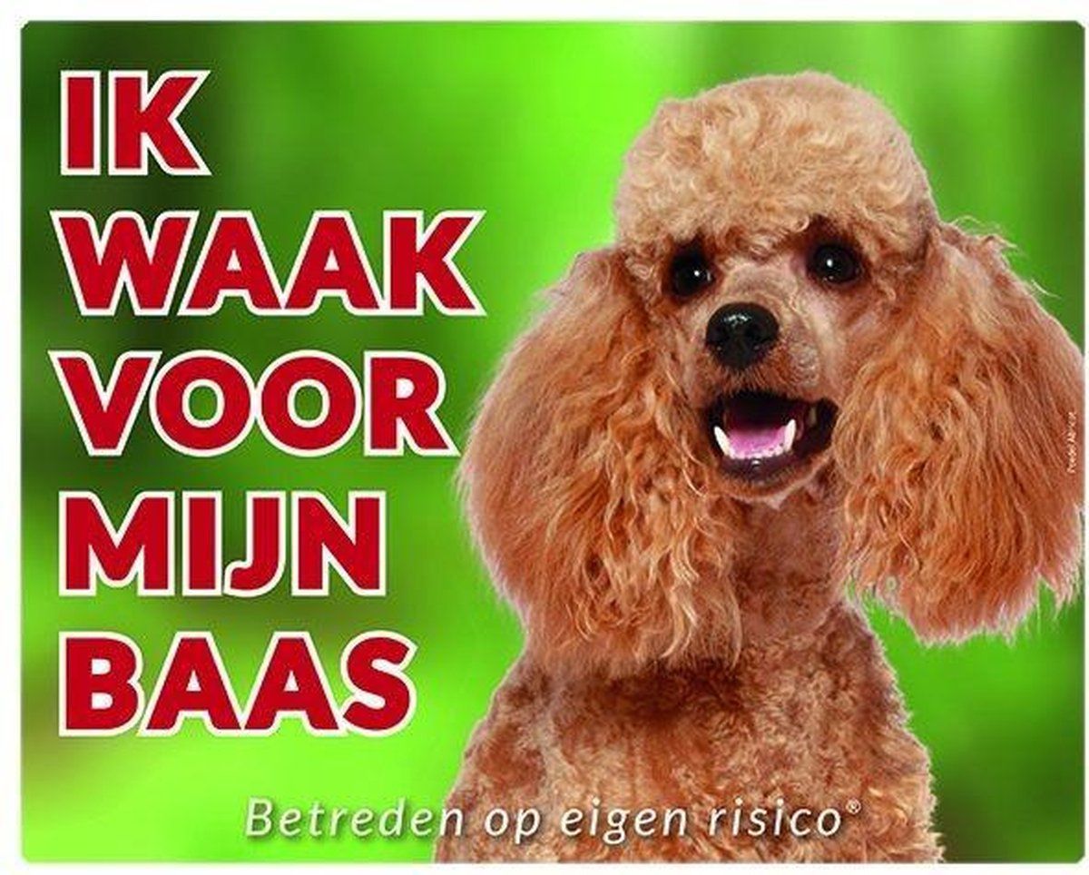 Stickerkoning Poedel Abricot Waakbord - Ik waak voor mijn baas