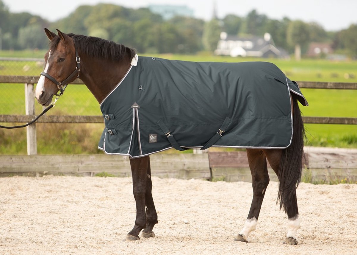 Harry's Horse Outdoordeken Thor 300 gr - 195 grijs