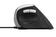 Rapoo EV200 - Ergonomische bedrade muis - 1600 DPI - USB-A - Zwart/Zilver