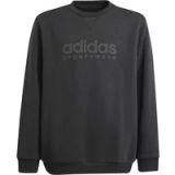 Adidas Junior Sweatshirt All Szn Graphic