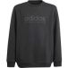 Adidas Junior Sweatshirt All Szn Graphic
