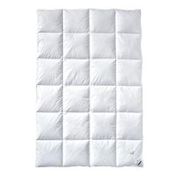 Billerbeck Donsdekbed E04 Gold Edition Colour Warm + (Cassette IV), maat 135 - 140 x 200 cm