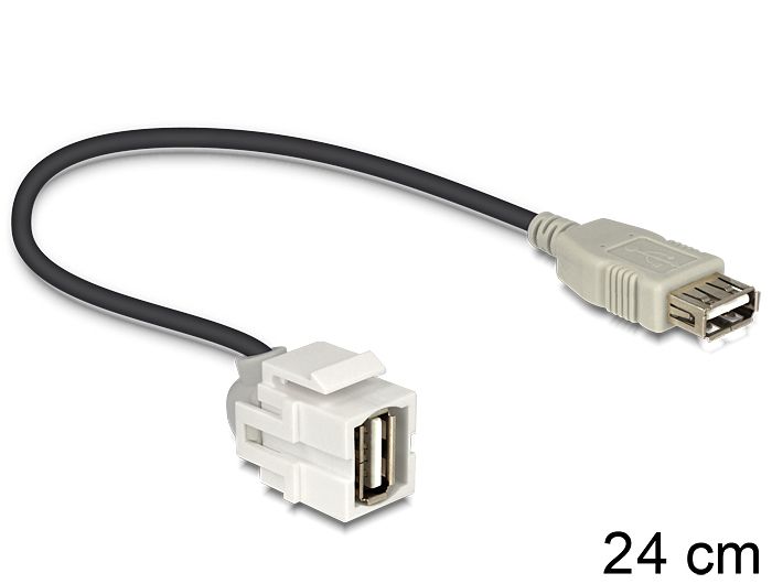 DeLOCK 86329 - Adapterkabel - 0,24 m - Zwart