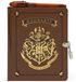 Harry Insight Editions Harry Potter: Hogwarts Lock & Key Diary
