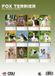 CalendarsRUs Fox Terrier A3 Kalender 2027