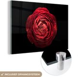 MuchoWow® Glass Painting 150x100 cm - Acrylic Glass Painting - Red Buttercup Close-up on Black Background - Photo on Glass - Paintings