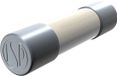 Püschel Feinsicherungen FSUT1,6A Buiszekering (Ø x l) 6.3 mm x 32 mm 1.6 A 500 V Traag -T- Inhoud 10 stuk(s)