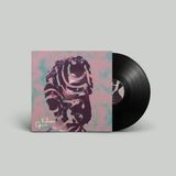 Open Kutiman Open LP