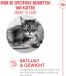 Royal Canin Alimentation Chat Ageing 15+ - 12 x 400 g