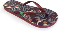 Brasileras Slippers dames - Rood - 34/35