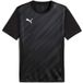 Puma Kindertrui teamGoal Graphic