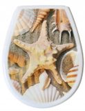 Bisk Lilia Serie Toiletbril Ovaal Wit en Beige Kunststof
