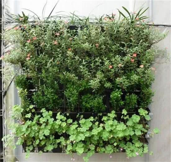 ForDig Plantenhanger 9 zakken - Plantenbak - Plantenrek - Hangende tuin - Verticale moestuin