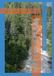 Whispers of Light: A Reflection in Nature on a Journey of Gratitude