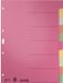 Leitz 43580000 Diviseur DIN A4 carton blanc multicolore 6 onglets