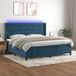Maison Exclusive - Lit boxspring avec matelas et éclairage LED, bleu foncé, 200x200 cm, velours