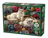 Cobble Hill Puzzle 1000 pièces : Ragdoll chats