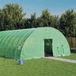 vidaXL Tuinkas met stalen frame 36 m² 6x6x2,85 m groen