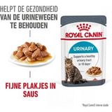 ROYAL CANIN Care Urinary in Saus 12x85 g