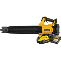DeWalt 18V XR 5.0Ah Accu Starterspakket