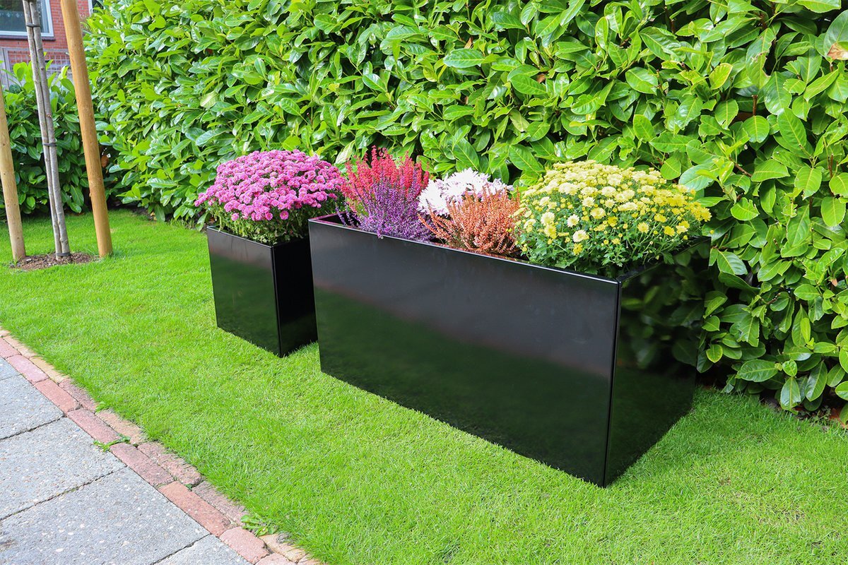 Wovar Plantenbak Zwart Verzinkt Staal 50 x 100 x 50 cm Bloembak