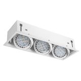 Levitantes Verlichting, afbeelding