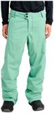 Burton Reserve 2l Insulated Broek Groen XL Man