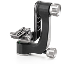 Benro GH2N Gimbal Head - Grijs/Zilver - 25kg - 3/8"