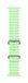 Apple Ocean Band Groen Fluorelastomeer, Titanium