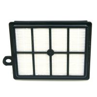123schoon AEG-Electrolux stofzuiger H12 HEPA-filter (123schoon huismerk)
