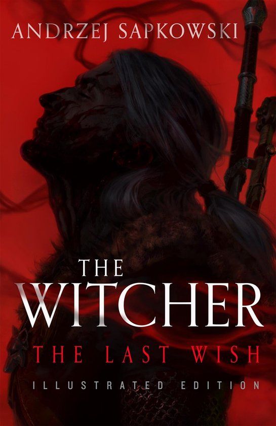 The Witcher The Last Wish Hardcover