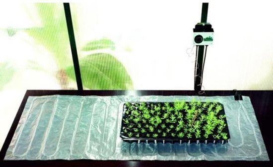 Bio Green Biogreen Grond VERWARMINGS MAT 40x120cm
