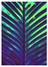 Komar Hide Poster wandafbeeldingen woonkamer slaapkamer | zonder lijst | P116-50x70 cm | grootte 50x70 cm (breedte x hoogte)