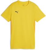 Puma Dames-shirt Teamgoal Jersey Wmn 658638