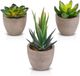 Unyqoos Plantes artificielles Set de 3 avec Pots