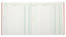 Exacompta - ref. 930E - 1 Register voor ontvangsten en uitgaven - Genummerd - Verticaal formaat - Afmetingen: 21 x 19 cm - 80 pagina's - Willekeurige kleuren